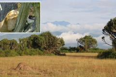 naturparks_uganda_08n