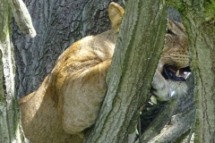 naturparks_uganda_10n