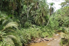 naturparks_uganda_18n